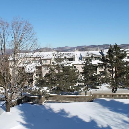 Pinnacle Condominiums Mendon Buitenkant foto